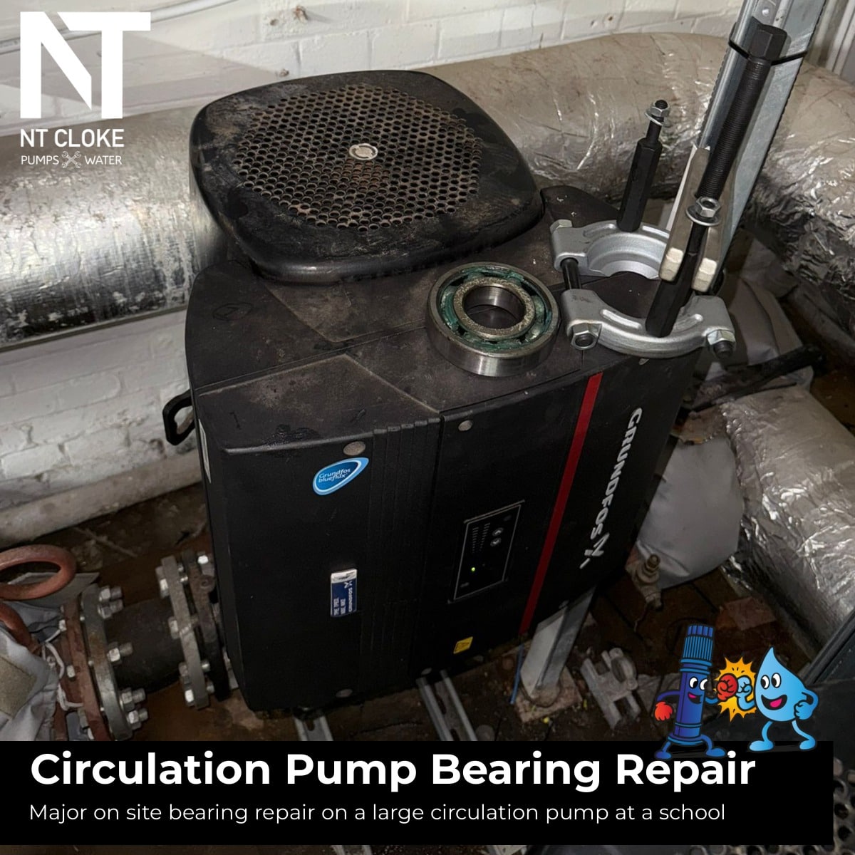 Circulation-Pump-Bearing-Repair. NT Cloke Pumps and Water UK