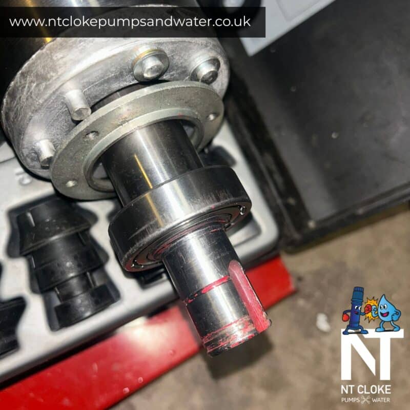 Noisy Pump Don't Ignore it Bearing Replacements NT Cloke Pumps and Water NT Cloke Pumps & Water